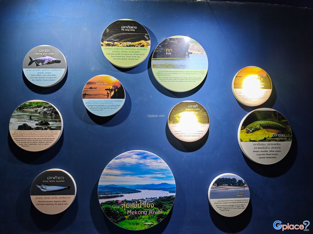 ศูนย์วิทยาศาสตร์เพื่อการศึกษานครพนม