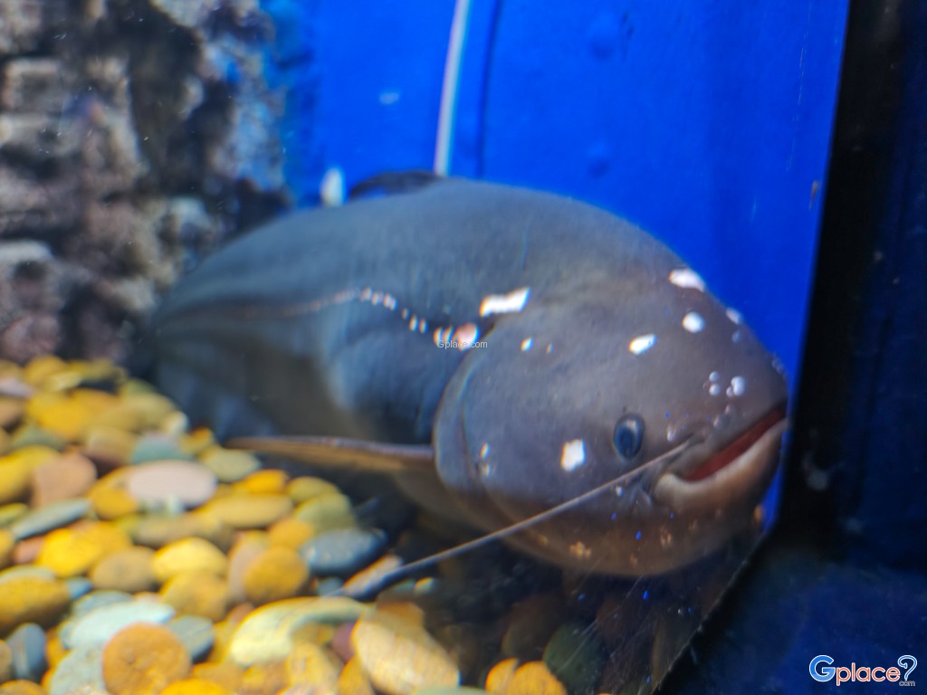 ศูนย์วิทยาศาสตร์เพื่อการศึกษานครพนม