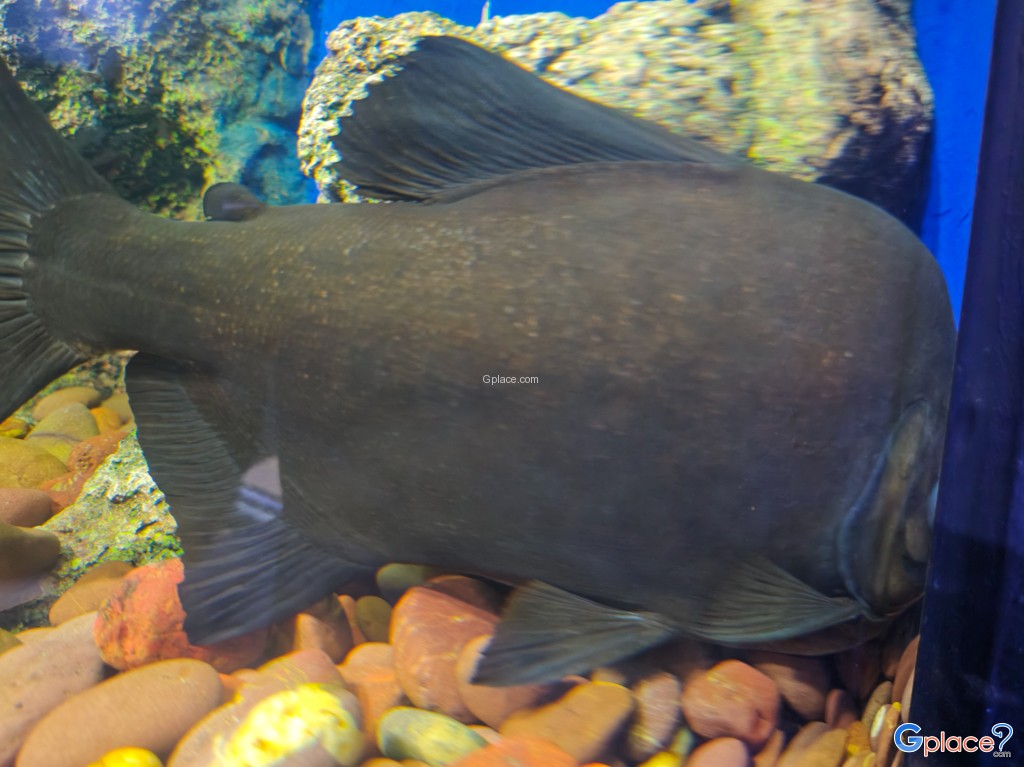 ศูนย์วิทยาศาสตร์เพื่อการศึกษานครพนม