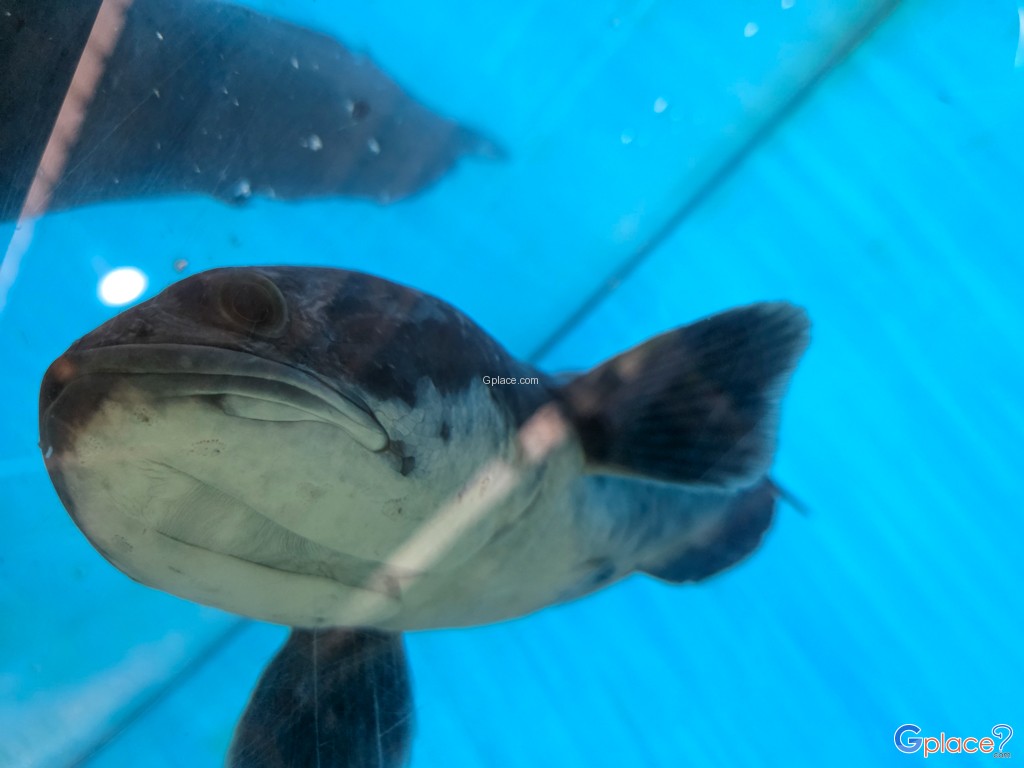 ศูนย์วิทยาศาสตร์เพื่อการศึกษานครพนม