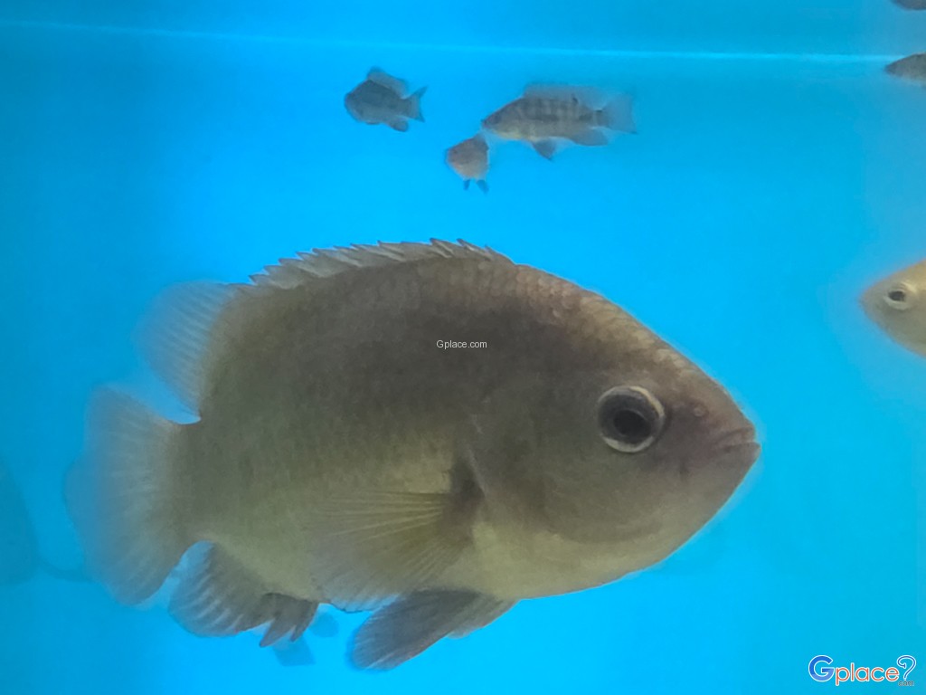 ศูนย์วิทยาศาสตร์เพื่อการศึกษานครพนม