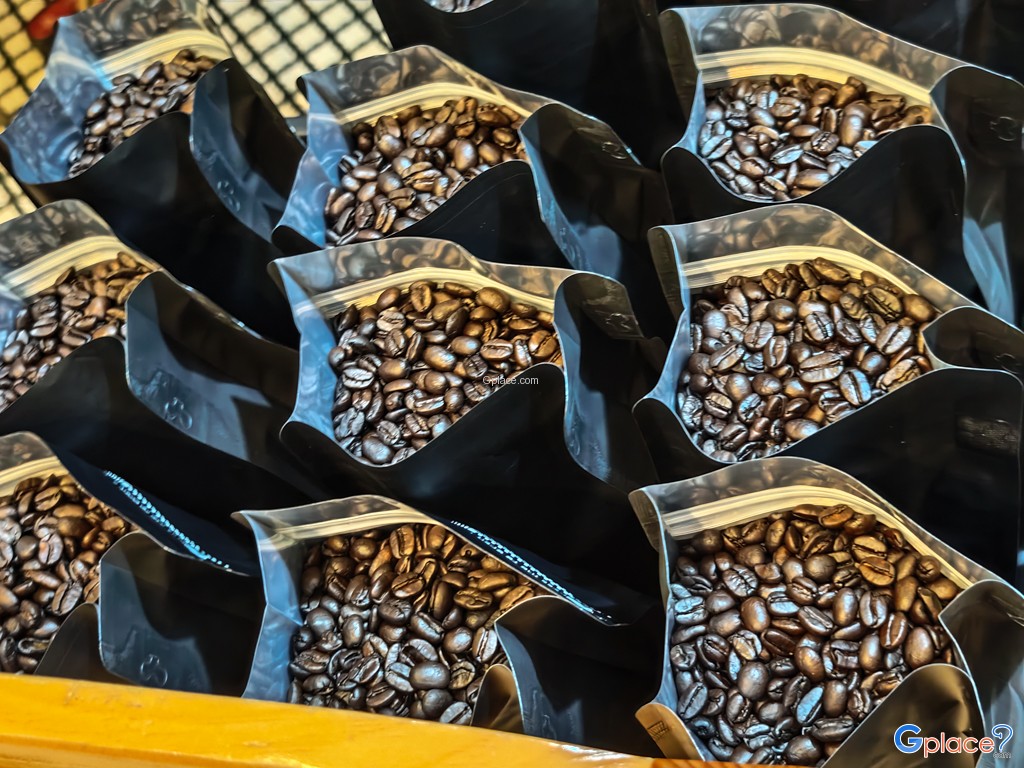 กัสจัง คาเฟ่ และโรงคั่วกาแฟ