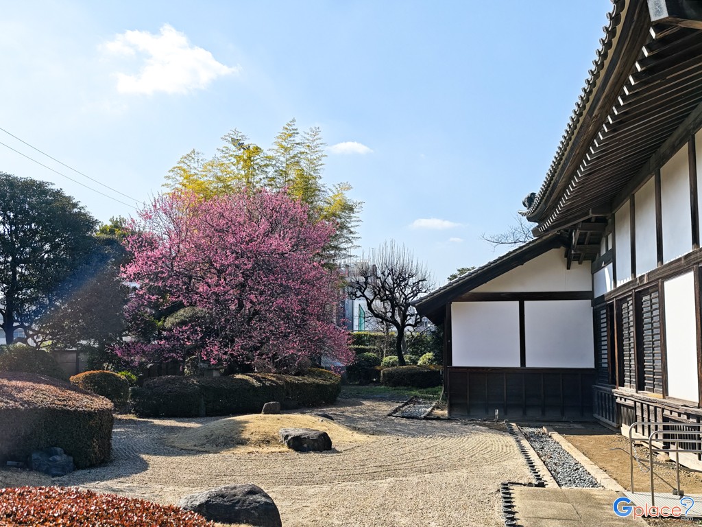 Kawagoe Castle Honmaru Palace