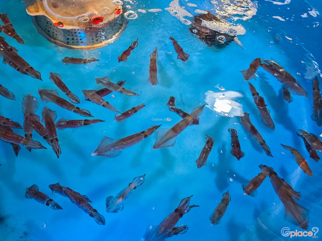 Làng chài Bang Bao