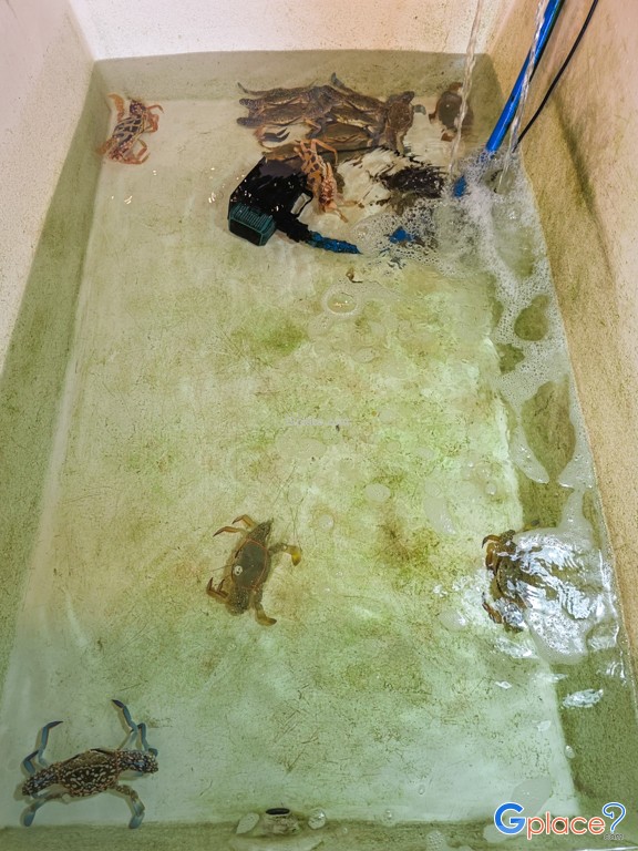 Làng chài Bang Bao