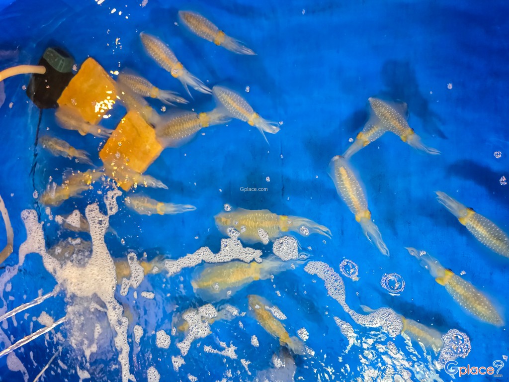 Làng chài Bang Bao