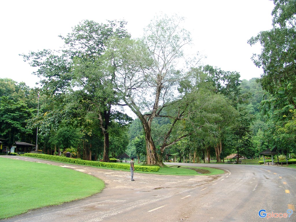 Si Satchanalai National Park