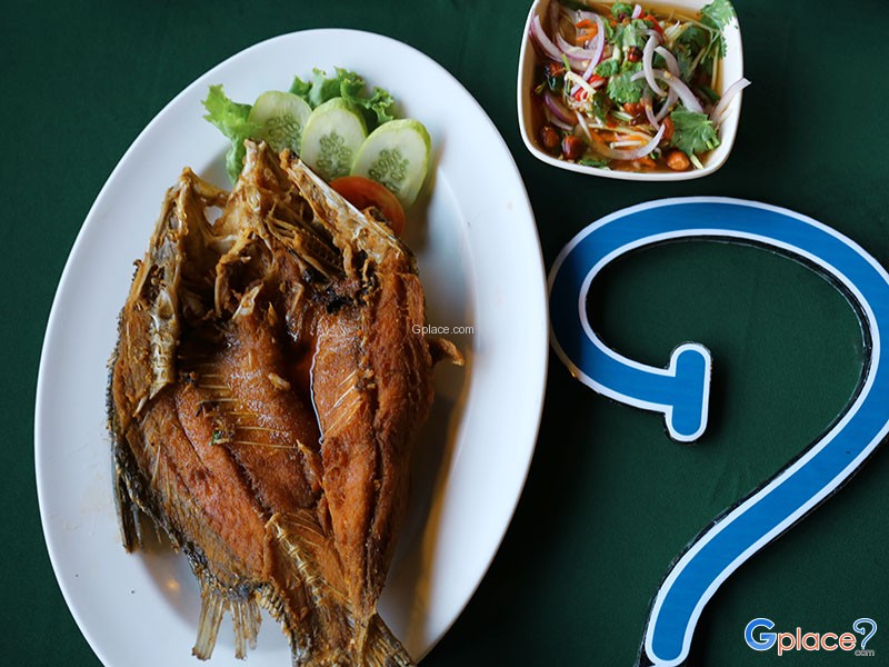 สวนอาหารไทรทองริเวอร์