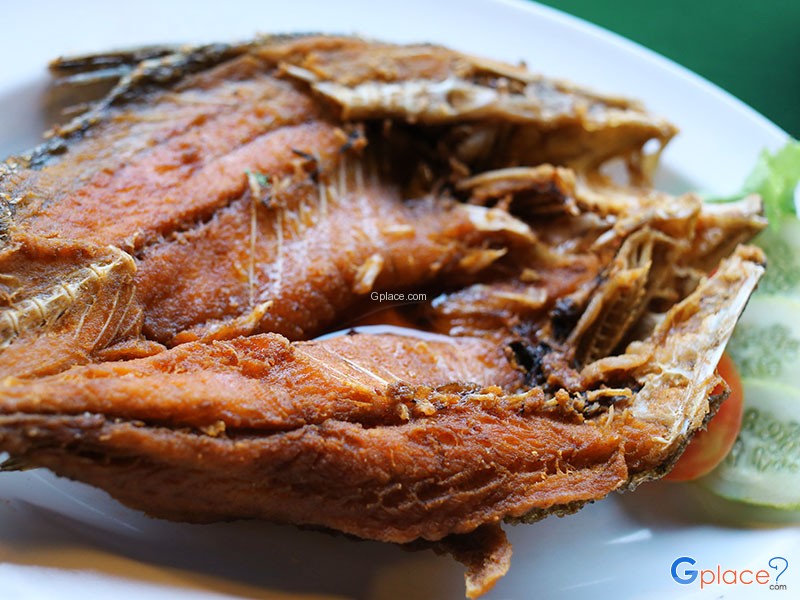 สวนอาหารไทรทองริเวอร์