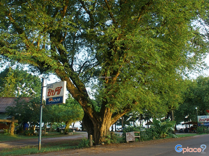 ครัวยิปซี