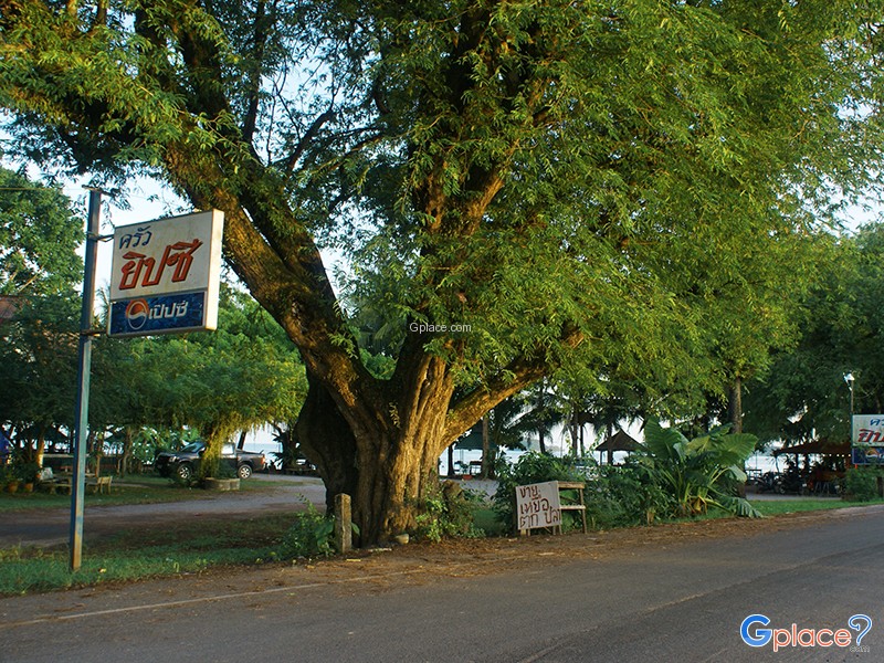 ครัวยิปซี