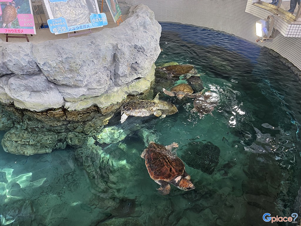 Port of Nagoya Public Aquarium