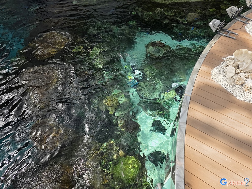 Port of Nagoya Public Aquarium