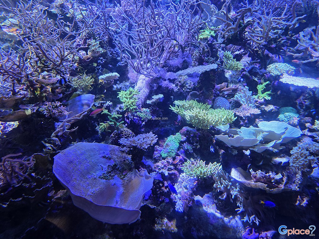 Port of Nagoya Public Aquarium