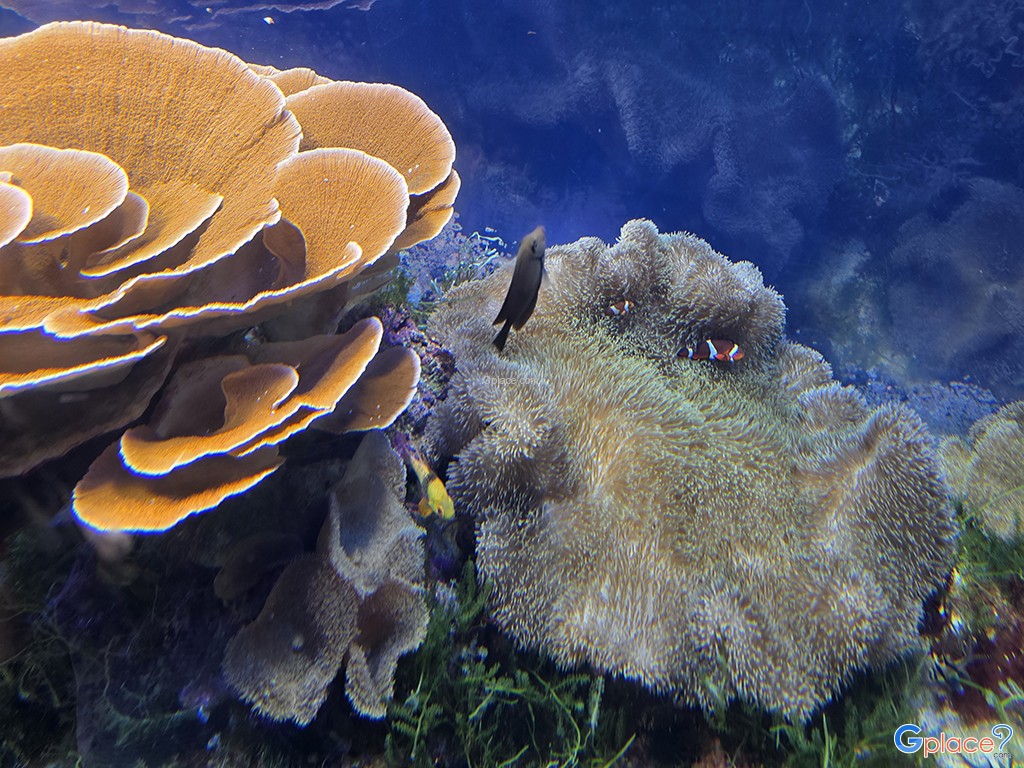 Port of Nagoya Public Aquarium