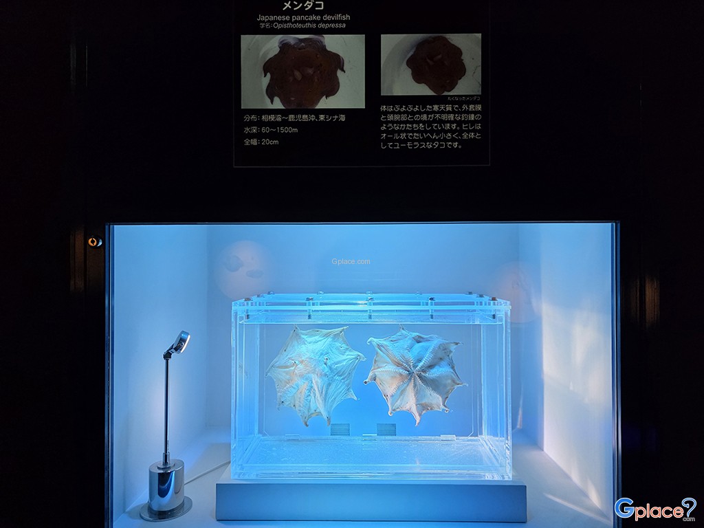 Port of Nagoya Public Aquarium