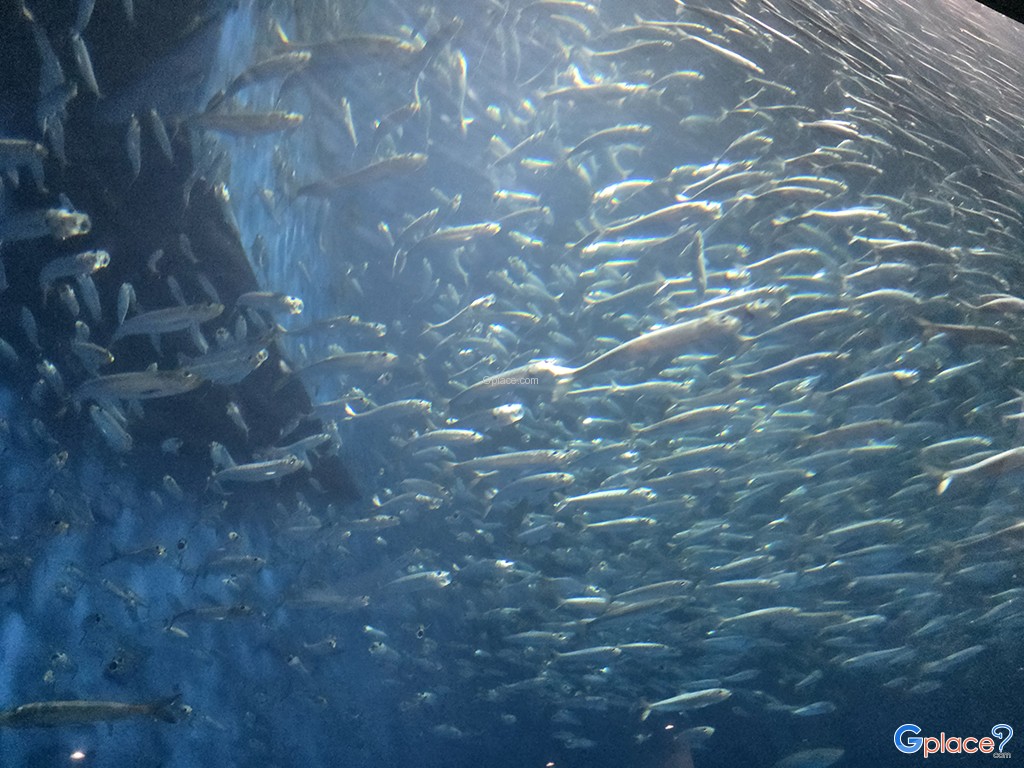 Port of Nagoya Public Aquarium