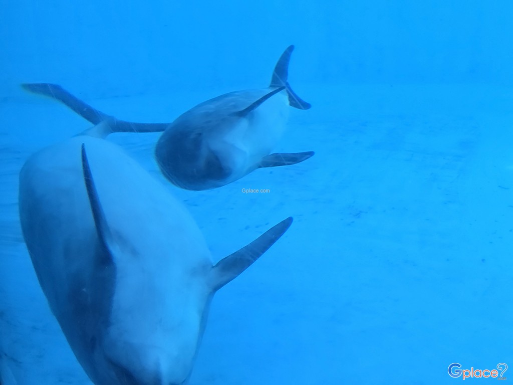 Port of Nagoya Public Aquarium