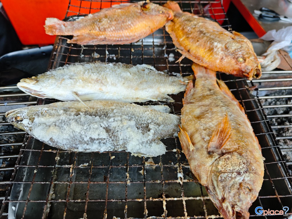 ดู๋ดี๋ ป่าตอง 1