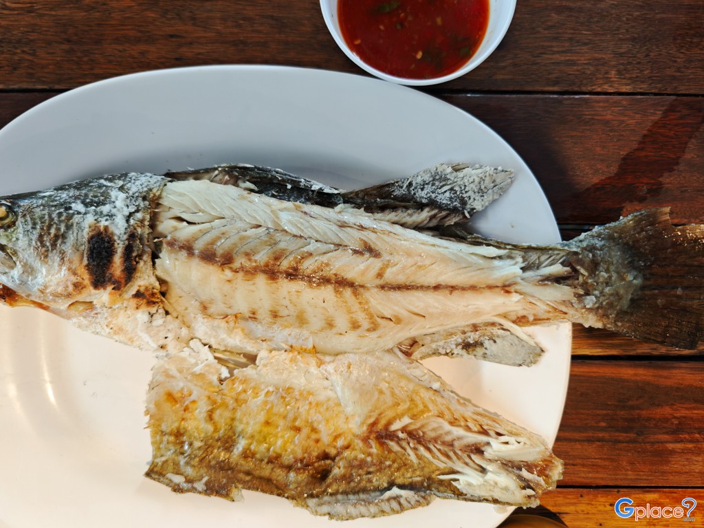 ดู๋ดี๋ ป่าตอง 1