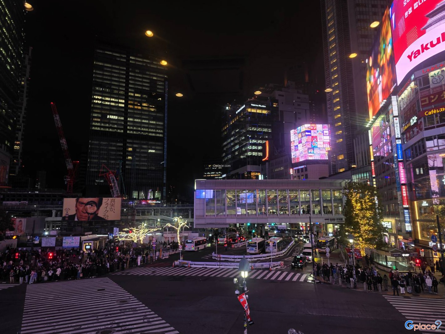 สตาร์บัคส์ ชิบูย่า