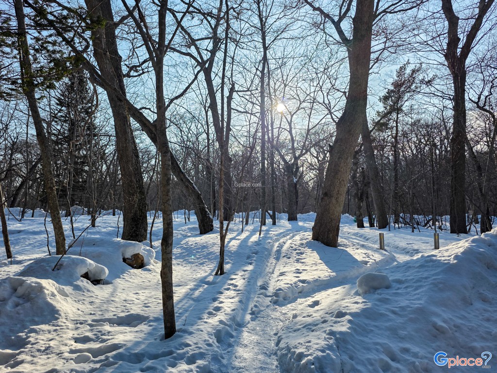 ศาลเจ้าชิโตเสะ