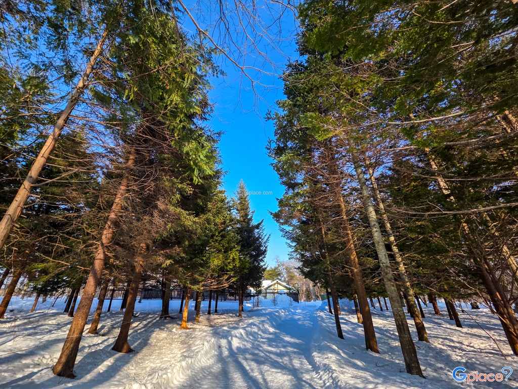 ศาลเจ้าชิโตเสะ