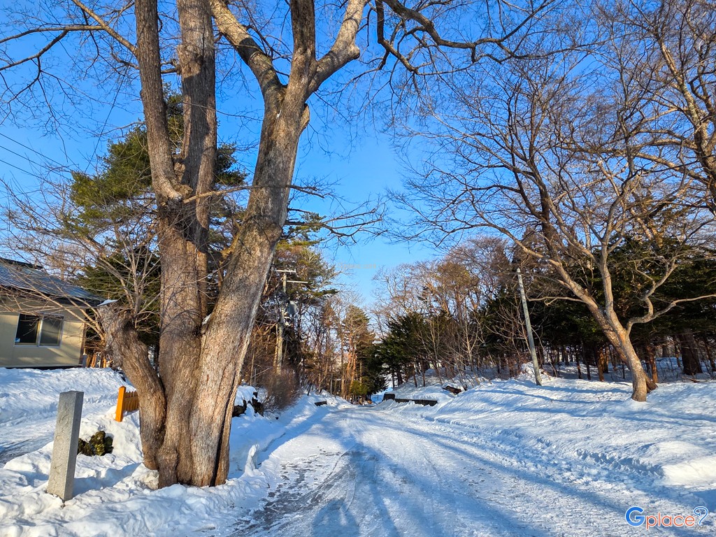 ศาลเจ้าชิโตเสะ