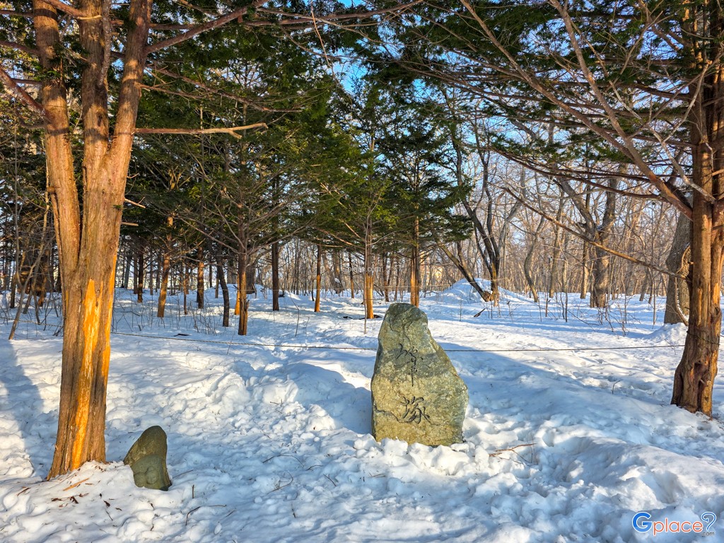 ศาลเจ้าชิโตเสะ