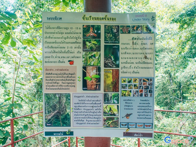 Peninsular Botanical Garden