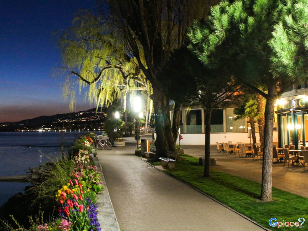 Flowered Embankments Montreux