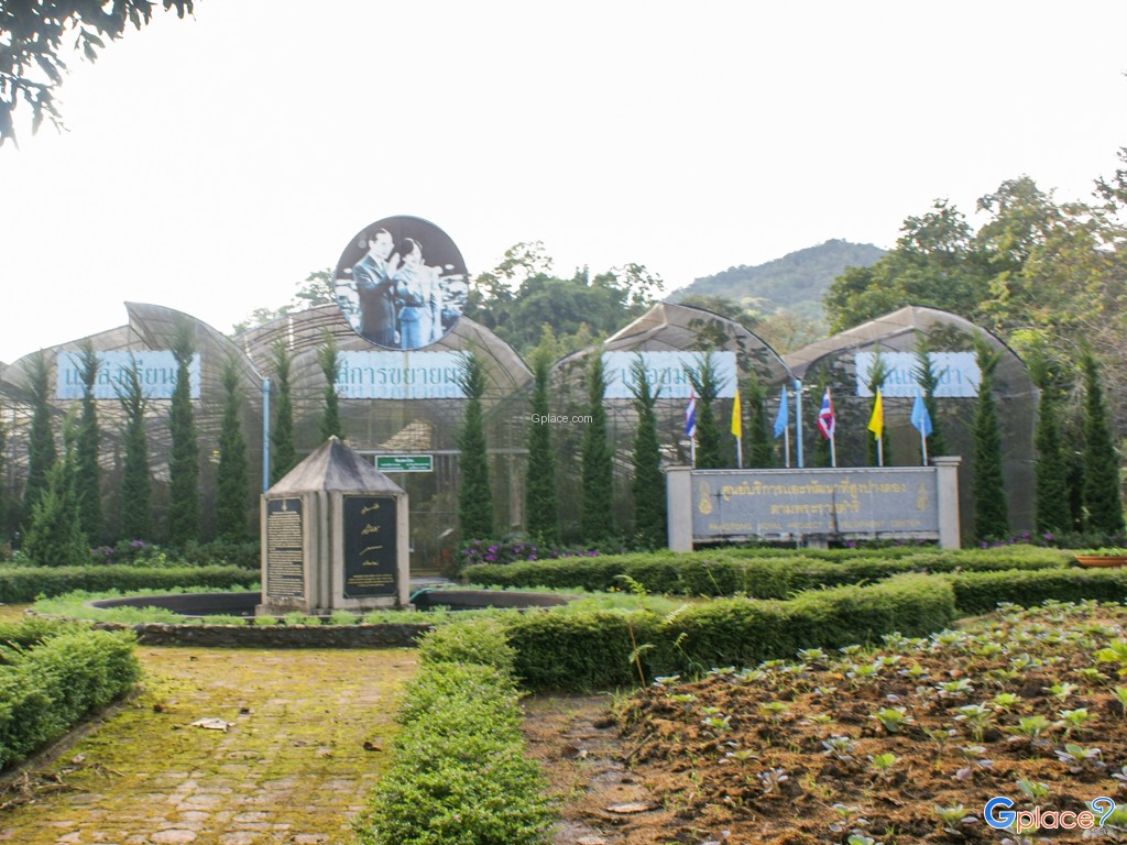 Pang Tong Palace