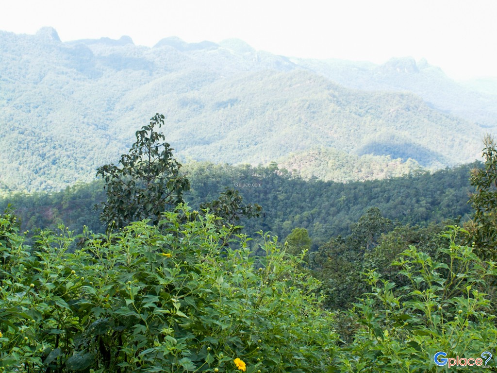 Viewpoint  Pang Mapha