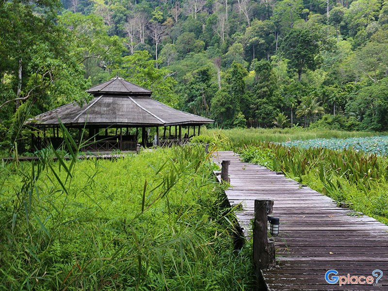 Thale Ban National Park