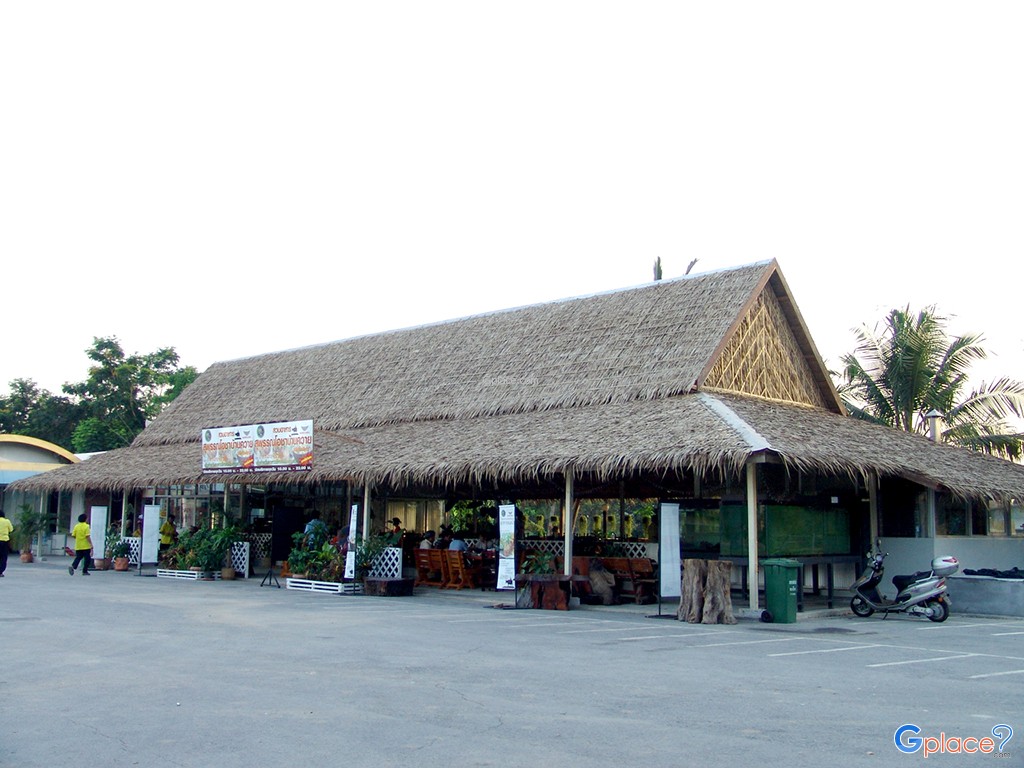 Buffalo Village