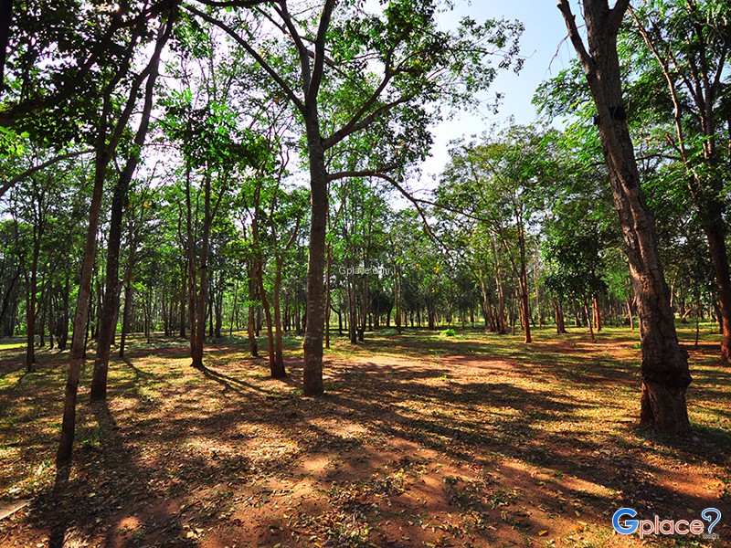 Somdet Phra Sri Nakarin Park