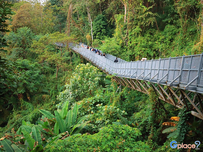 Queen Sirikit Botanical Garden