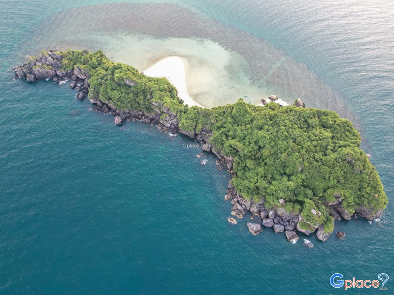 เกาะมะพร้าว