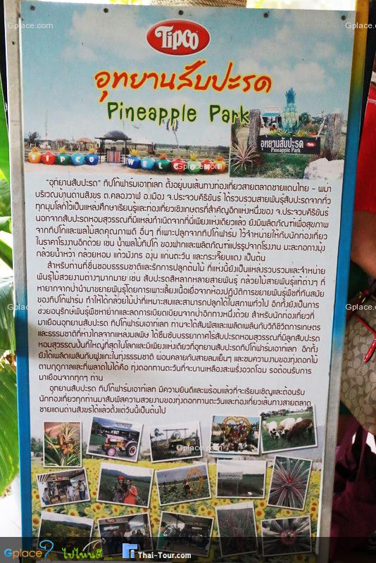 ไร่ทิปโก้ อุทยานสับปะรด