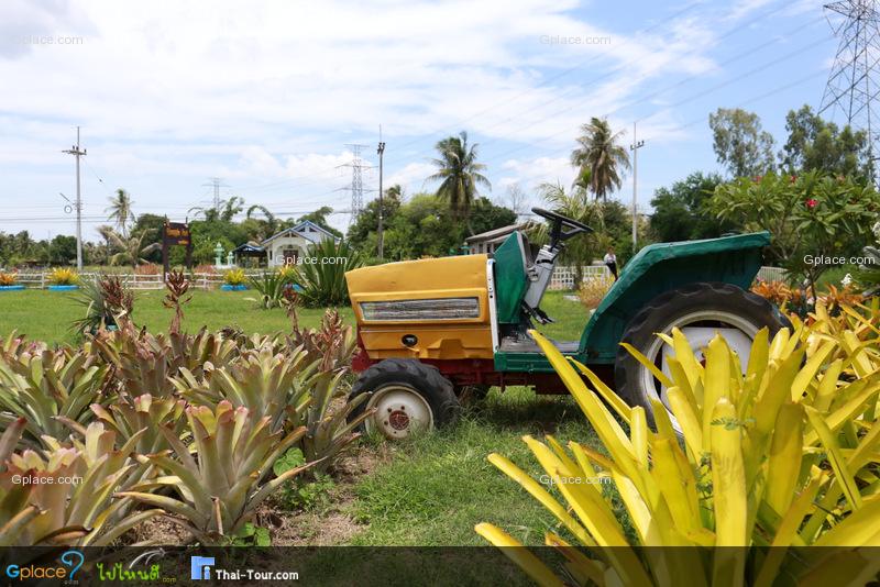 ไร่ทิปโก้ อุทยานสับปะรด