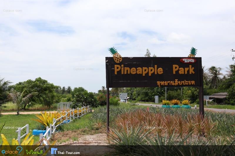 ไร่ทิปโก้ อุทยานสับปะรด
