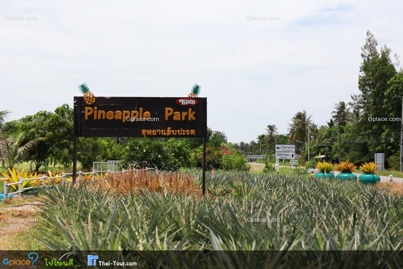 ไร่ทิปโก้ อุทยานสับปะรด
