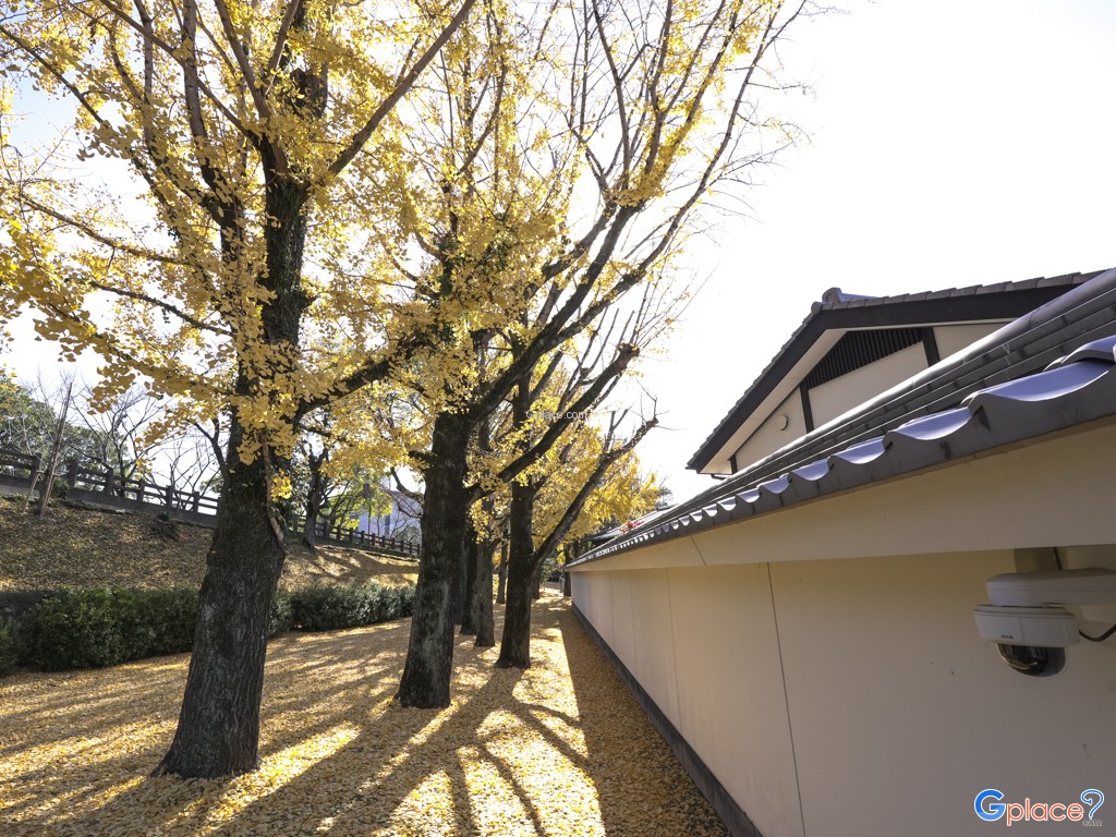 Sakura no baba Josaien