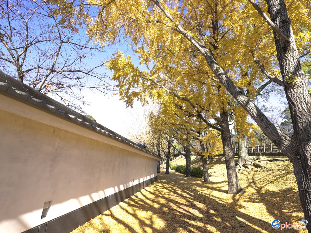 Sakura no baba Josaien