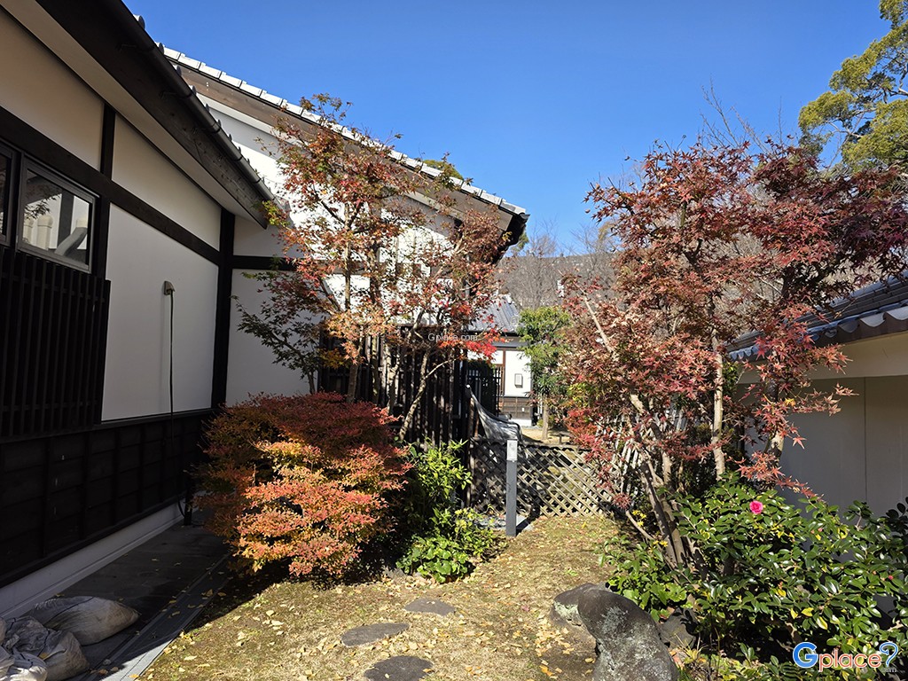 Sakura no baba Josaien