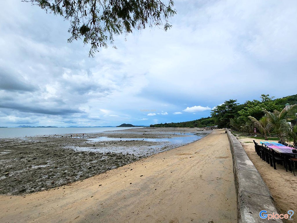 Coconut Seafood Restaurant