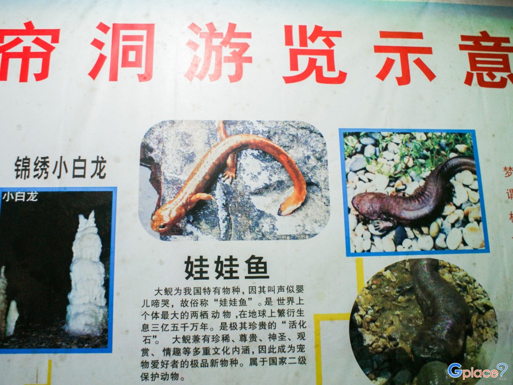 ถ้ำจินซิ่ว เฟิงสุ่ย