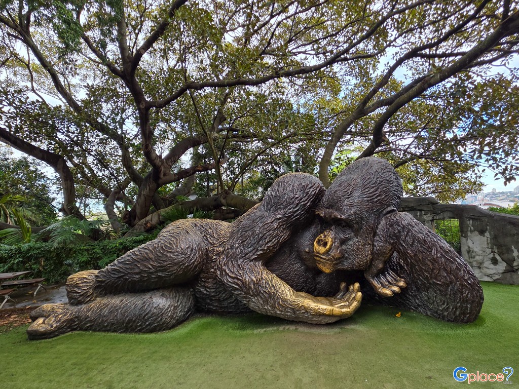 สวนสัตว์ทารองกา
