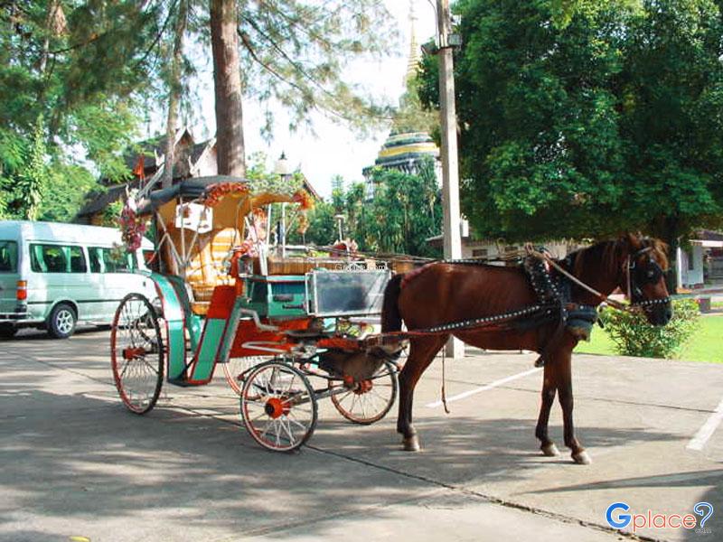 Horse Drawn Carriages