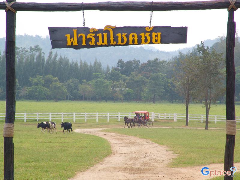 Chokchai Farm